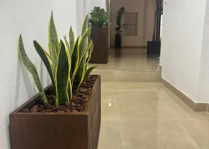 Apartment El Olivar De Sol